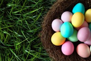 Easter Eggs - Financial advisers In Whitsundays, QLD